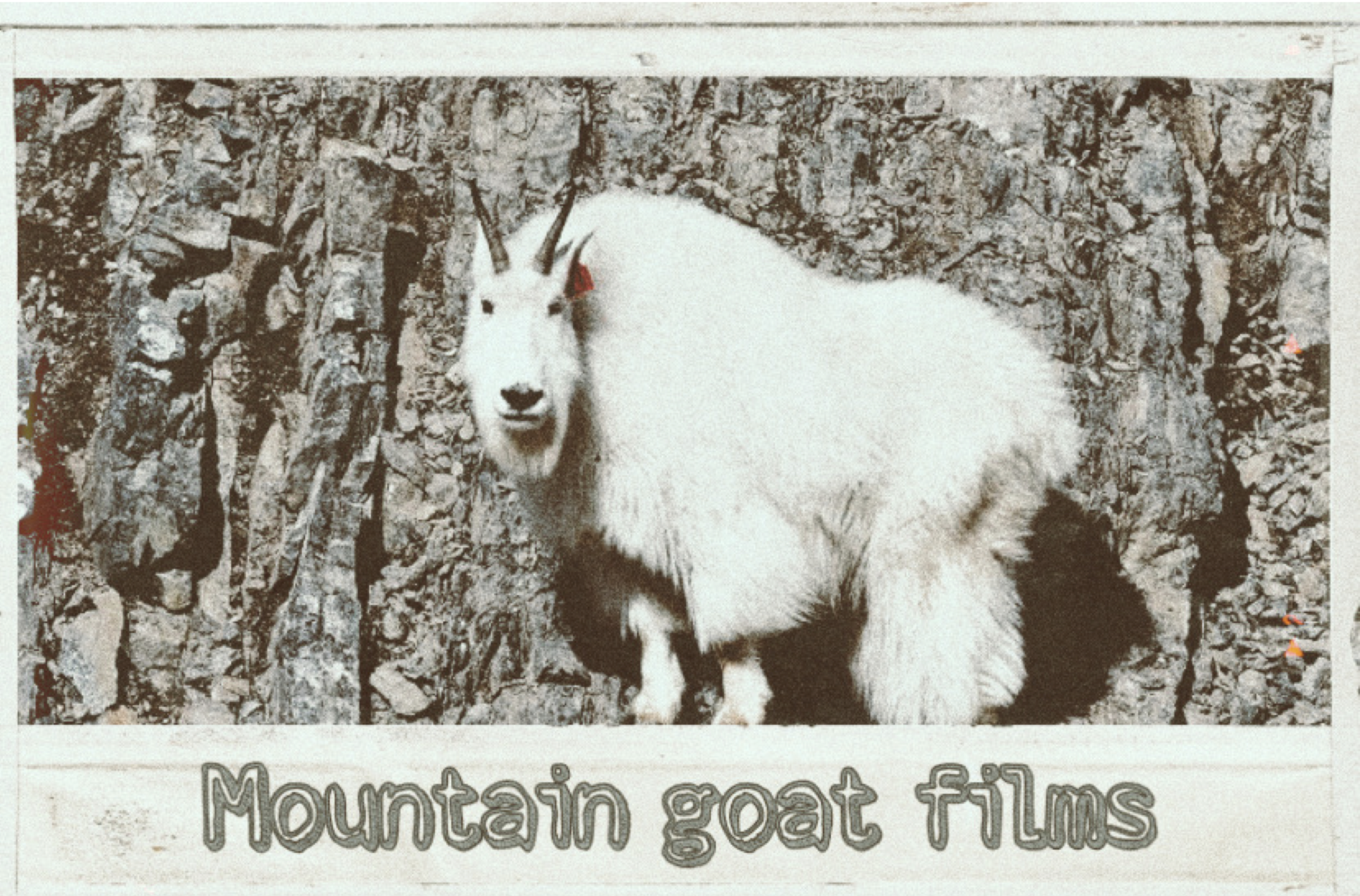 MountainGoatFilms